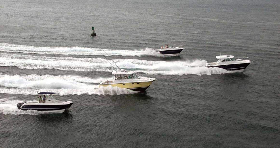 worldcat on the water