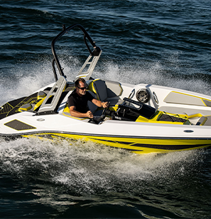 scarab on the water
