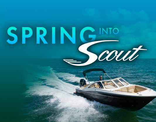 spring into scout