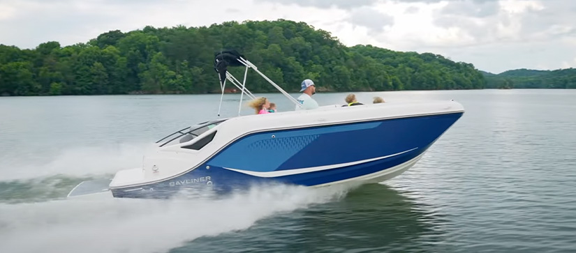 Bayliner D Series