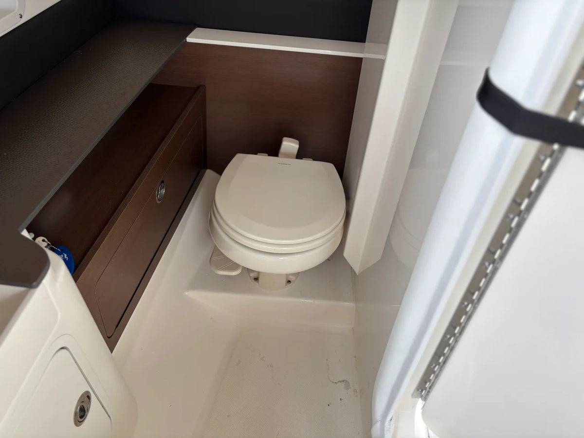2025 Sea Ray 290 SUNDECK 29.0 feet, Winthrop Harbor, IL #13