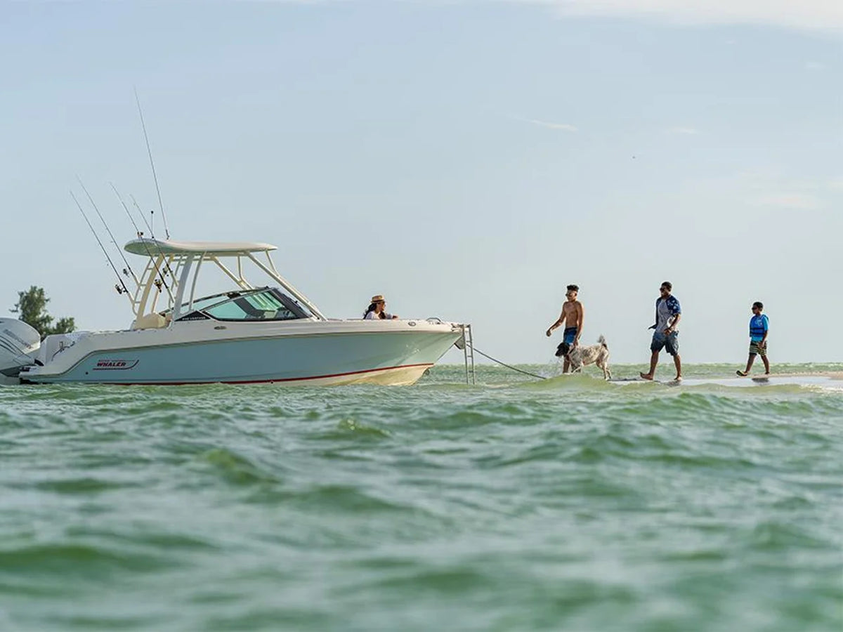 2027 Boston Whaler 240 Vantage 24.0 feet, Inuvik, Northwest Territories #16