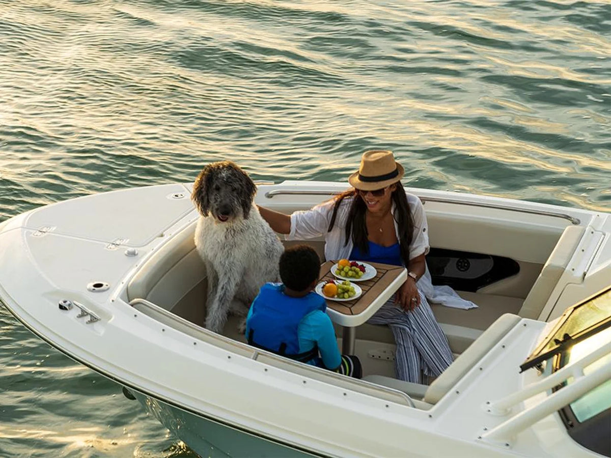 2027 Boston Whaler 240 Vantage 24.0 feet, Pewaukee, WI #39
