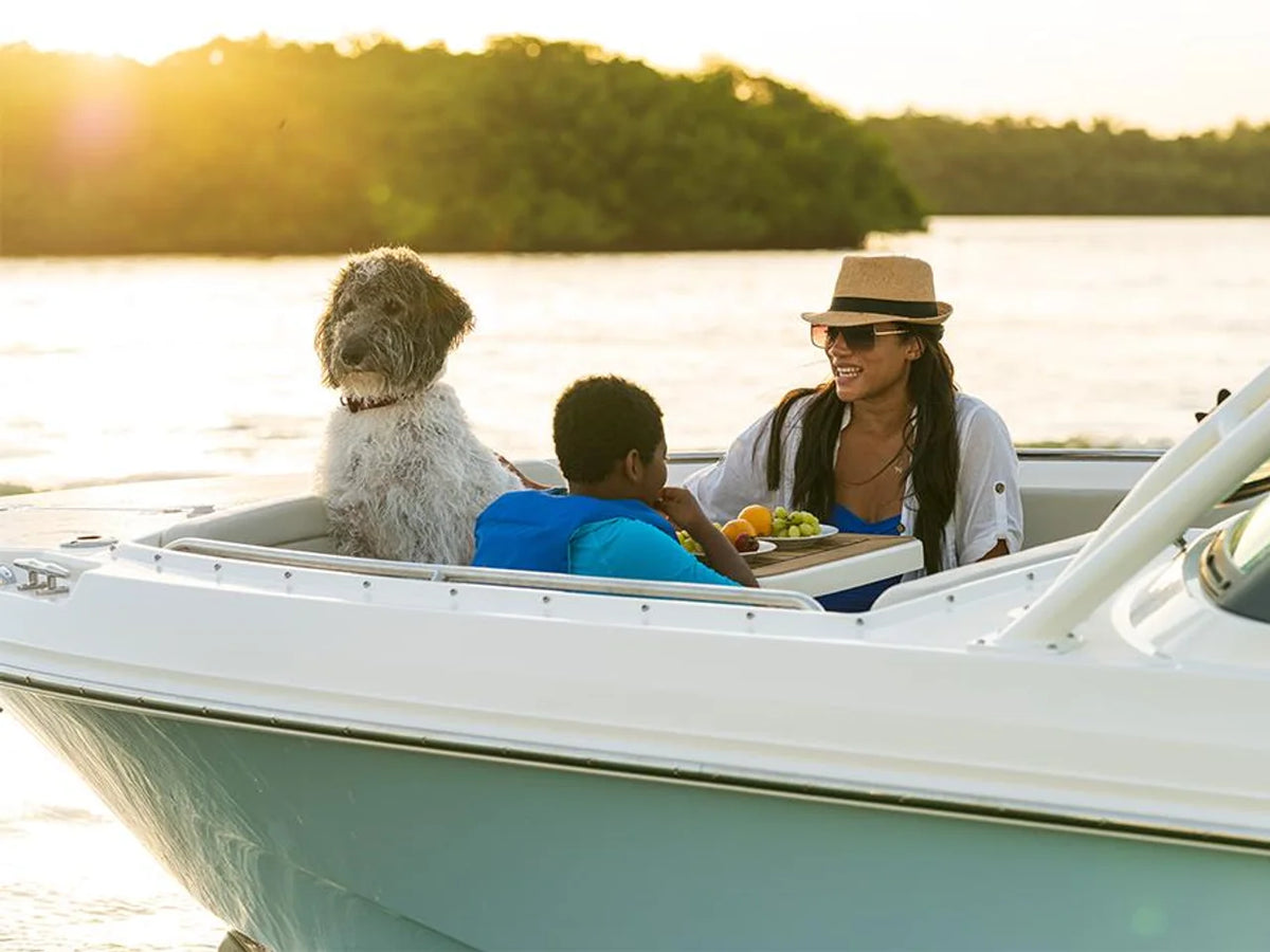 2027 Boston Whaler 240 Vantage 24.0 feet, Inuvik, Northwest Territories #64