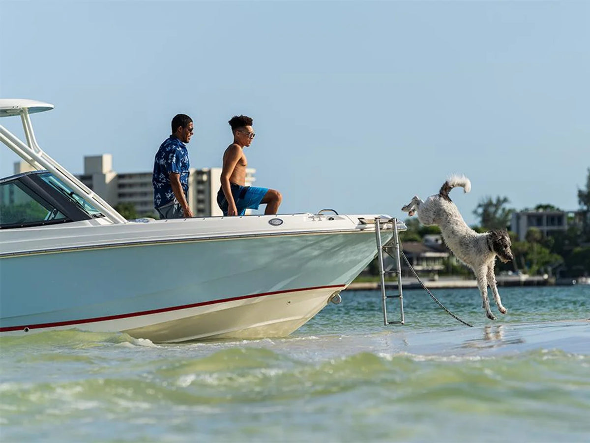 2027 Boston Whaler 240 Vantage 24.0 feet, Inuvik, Northwest Territories #66