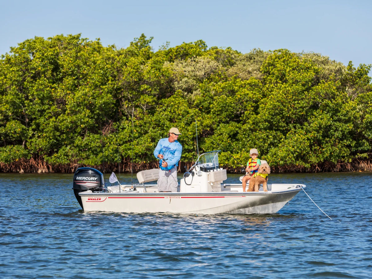 2027 Boston Whaler 150 Montauk 15.0 feet, Inuvik, Northwest Territories #12