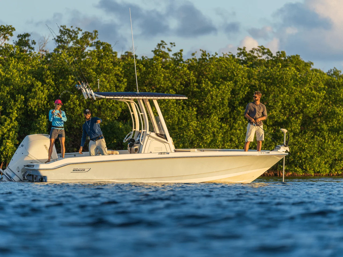 2027 Boston Whaler 220 Dauntless 22.0 feet, Inuvik, Northwest Territories #18