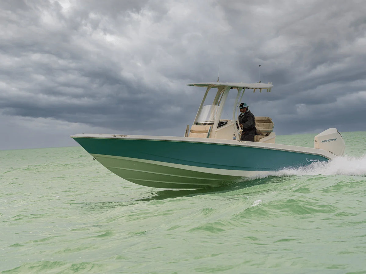 2027 Boston Whaler 250 Dauntless 25.0 feet, Inuvik, Northwest Territories #23