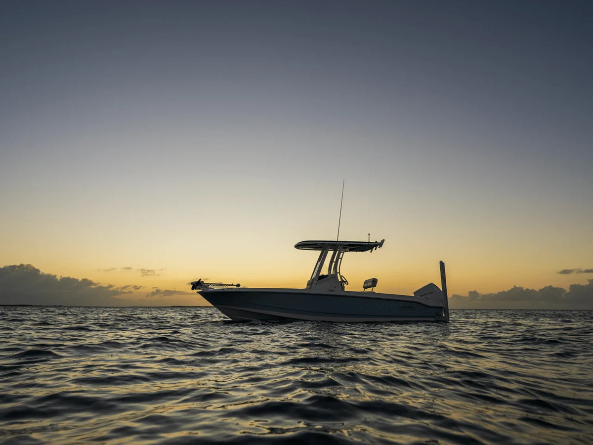 2027 Boston Whaler 220 Dauntless 22.0 feet, Inuvik, Northwest Territories #20