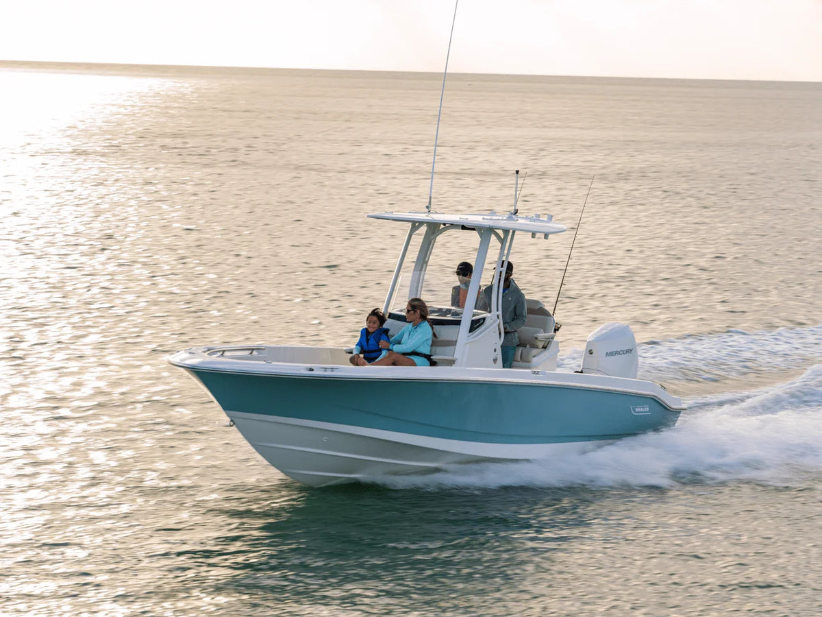 2027 Boston Whaler 250 Dauntless 25.0 feet, Inuvik, Northwest Territories #12