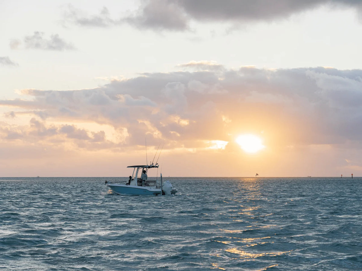 2027 Boston Whaler 220 Dauntless 22.0 feet, Inuvik, Northwest Territories #6