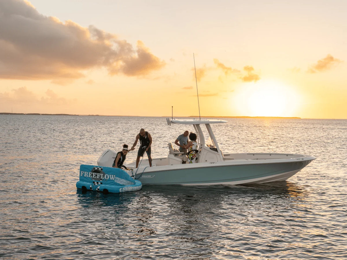 2027 Boston Whaler 250 Dauntless 25.0 feet, Inuvik, Northwest Territories #31