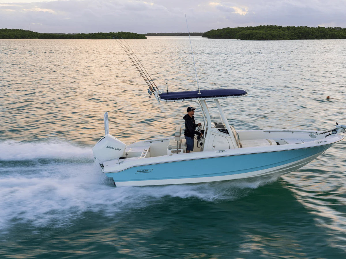 2027 Boston Whaler 220 Dauntless 22.0 feet, Inuvik, Northwest Territories #26