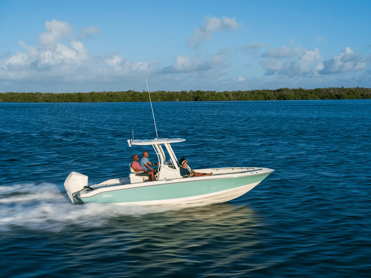2027 Boston Whaler 250 Dauntless 25.0 feet, Inuvik, Northwest Territories #27